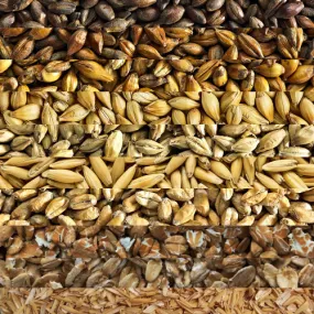 GRAIN BILL - Customer's Product with price 11.01 ID LRE1z70a5xw5y5Fq3S5QkpMV