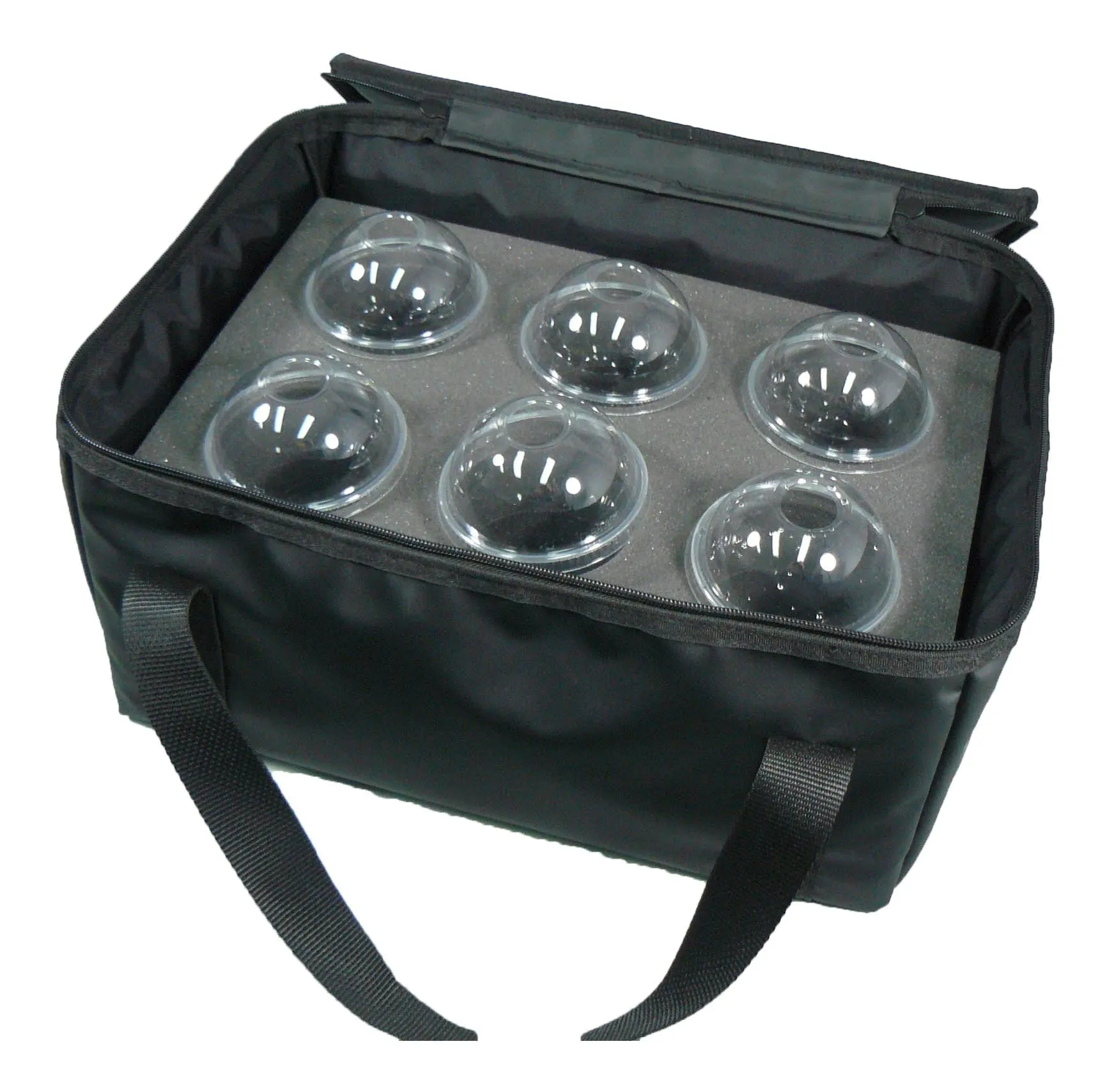 Insulated Drink Transport Bag