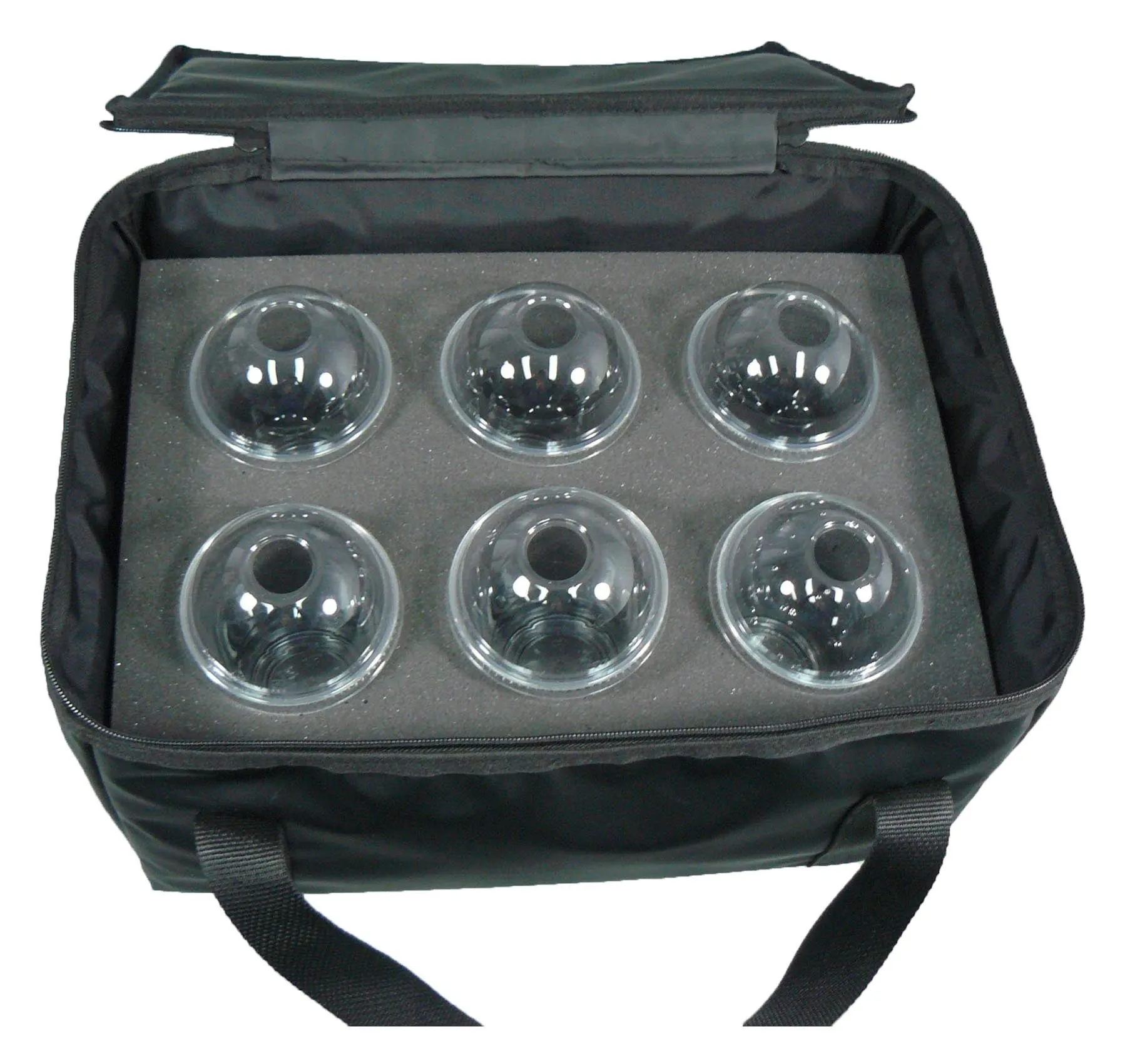 Insulated Drink Transport Bag