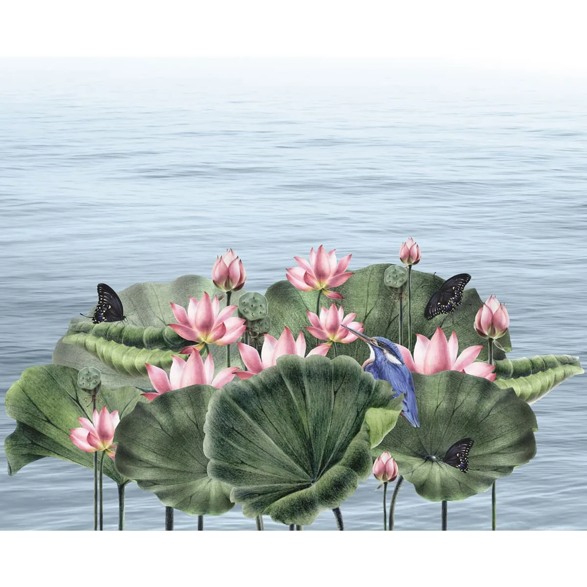 Padma, A Beautiful Lotuses Wallpaper for Walls