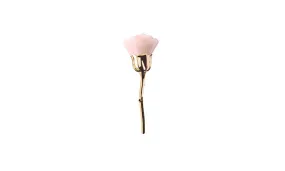 Rose Makeup Brush Gold And Pink