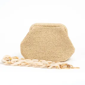 Straw Purse Bag